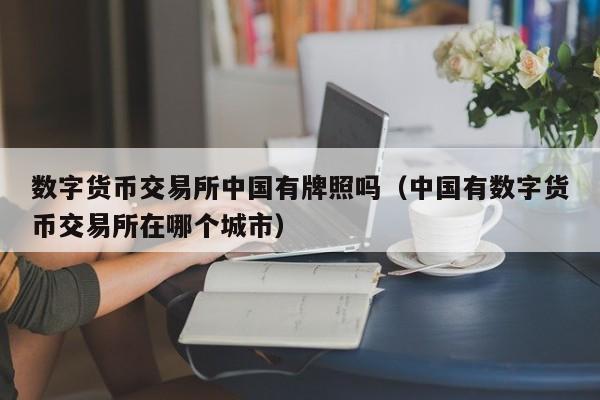 数字货币交易所中国有牌照吗(中国有数字货币交易所在哪个城市)