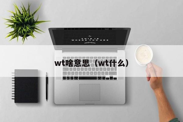 wt啥意思(wt什么)