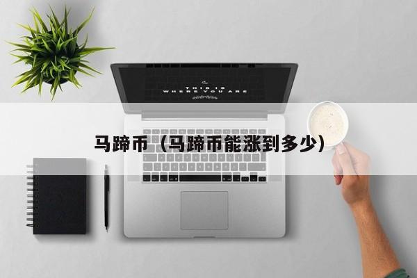 马蹄币(马蹄币能涨到多少)