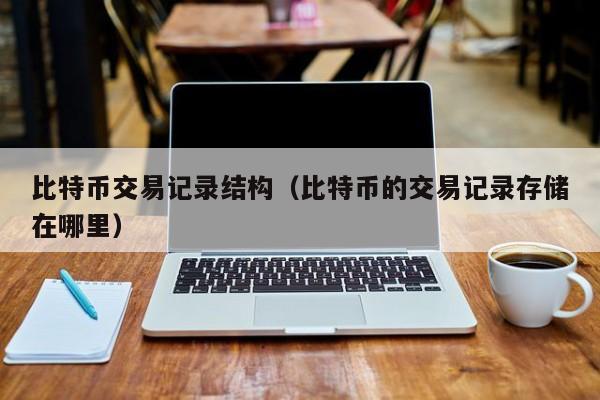 比特币交易记录结构(比特币的交易记录存储在哪里)